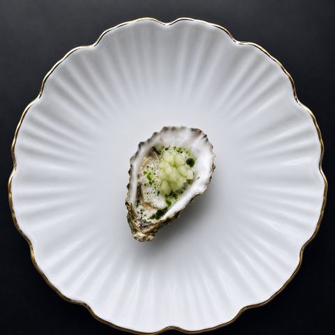 Oyster, Cucumber and Herb Oil