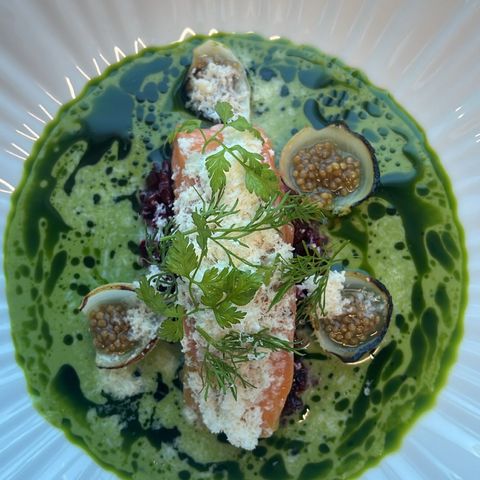 Confit Salmon, Cucumber Gazpacho and Tarragon Oil