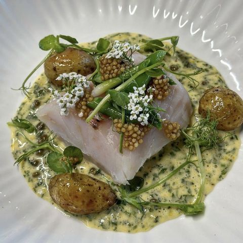 Roasted Turbot, Jersey Potatoes, Herbed Hollandaise and Basil Oil