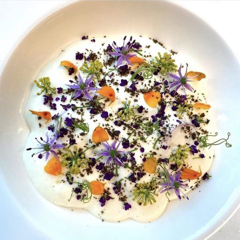 Courgette and Asparagus Salad, Parmesan Foam and Cress Garden