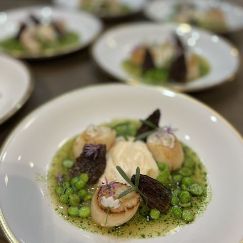 Scottish Scallops, Fresh Peas, Morels and Cauliflower
