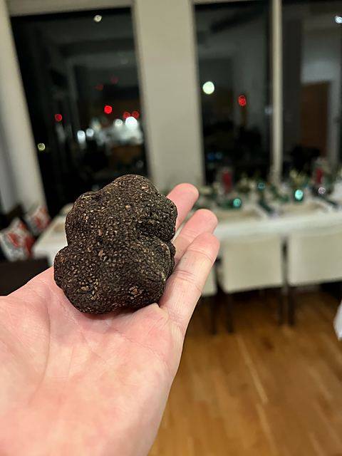 Fresh black truffle
