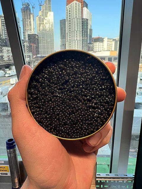Fresh caviar