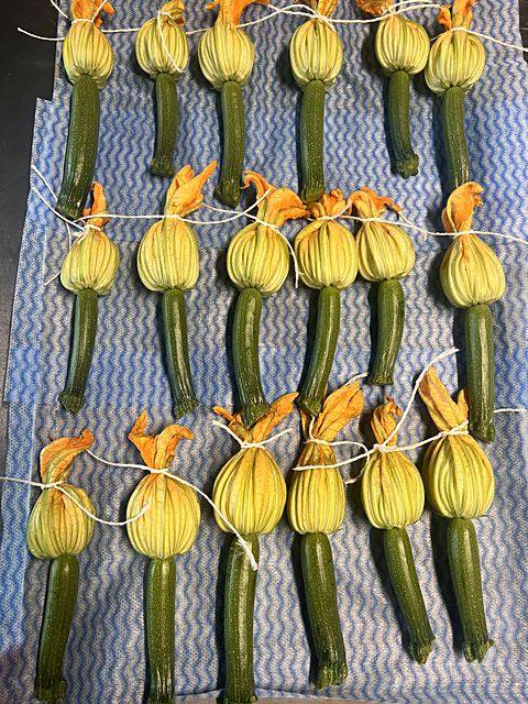 Courgette flowers