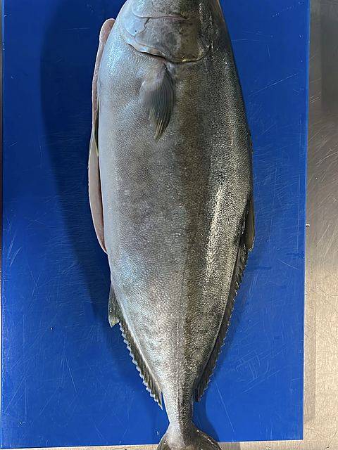 Whole fish, fresh from the market